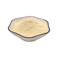 China Manufacturer Lactobacillus Fermentum